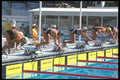 226016 Swimming A4 Photo Print