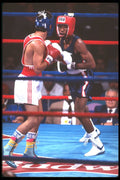 226019 Boxing A4 Photo Print