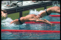 226051 Swimming A4 Photo Print