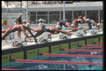 226054 Swimming A4 Photo Print