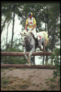 226056 Equestrian A4 Photo Print