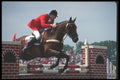 226057 Equestrian A4 Photo Print
