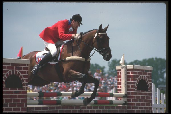226057 Equestrian A4 Photo Print