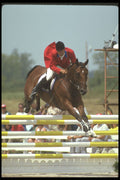 226061 Equestrian A4 Photo Print