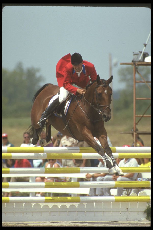 226061 Equestrian A4 Photo Print