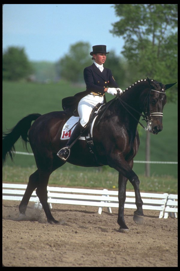 226088 Equestrian A4 Photo Print