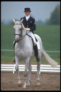 226090 Equestrian A4 Photo Print