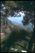 227010 Delphi A4 Photo Print