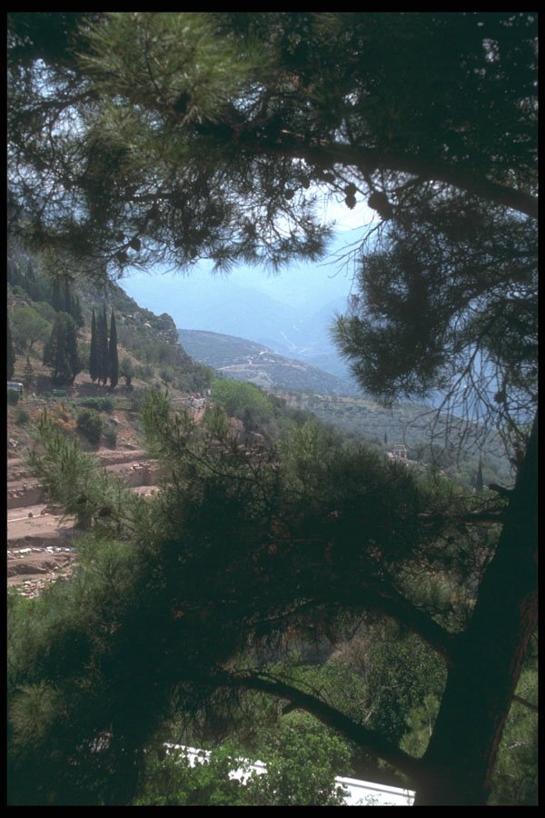 227010 Delphi A4 Photo Print