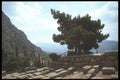 227013 Delphi A4 Photo Print