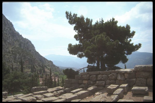 227013 Delphi A4 Photo Print