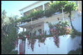 227015 Delphi A4 Photo Print