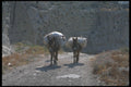 227029 Rugged Coastline Trail, Island Of Santorini A4 Photo Print
