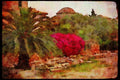 227041 The Forum, Athens A4 Limited Edition Watercolour Print