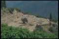227043 Tholos, Sanctuary Of Athena Pronaia, Delphi A4 Photo Print