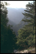 227047 Samarian Gorge, Island Of Crete A4 Photo Print