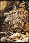227050 Samarian Gorge, Island Of Crete A4 Limited Edition Watercolour Print
