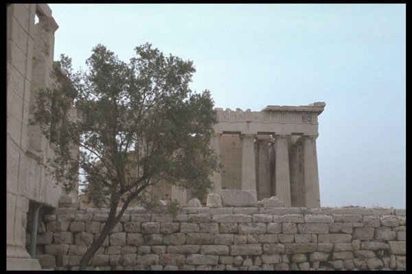 227069 The Acropolis, Athens A4 Photo Print