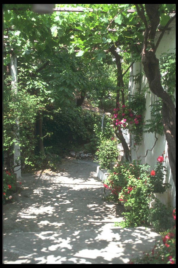 227073 Spili, Island Of Crete A4 Photo Print