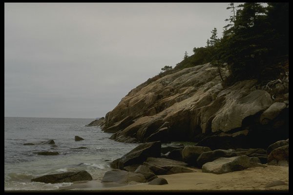 228004 Otter Cove, Acadia National Park A4 Photo Print
