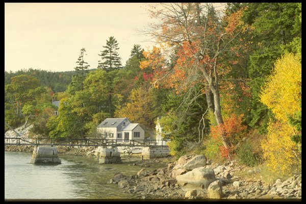 228006 Northeast Harbor A4 Photo Print