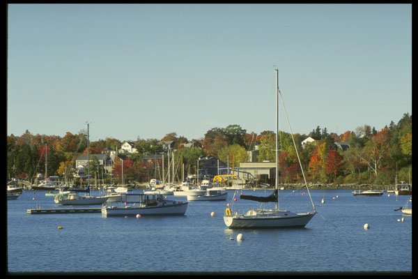 228008 Sailing Boats At Northeast Harbor A4 Photo Print