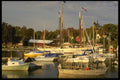 228010 Camden Harbor A4 Photo Print