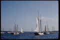 228014 Windjammer Day In Rockland A4 Photo Print