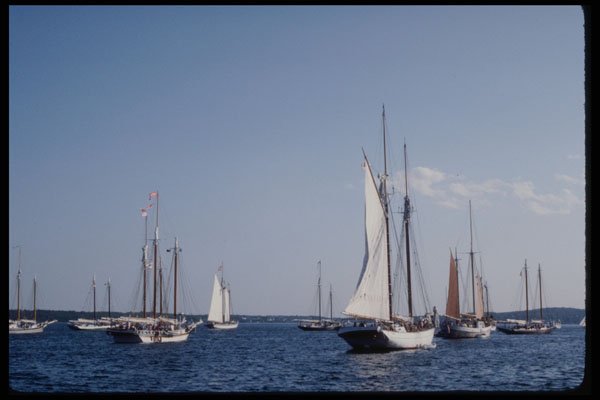 228014 Windjammer Day In Rockland A4 Photo Print