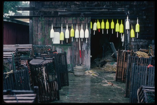 228027 Lobster Trap Buoys At New Harbor A4 Photo Print