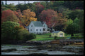 228034 House Nestled In Fall Trees, Boothbay Harbor A4 Photo Print