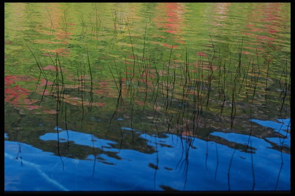 228044 Reflection Of Fall In Pond, Acadian National Park A4 Photo Print
