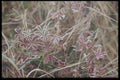 228048 Ground Frost A4 Photo Print