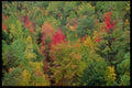 228052 Overlooking A Profusion Of Fall Colors A4 Photo Print