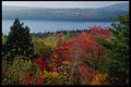 228054 Eagle Lake, Acadia National Park A4 Photo Print