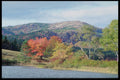 228057 Fall Trees With Hills In The Distance A4 Photo Print