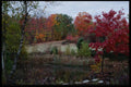 228062 A Field Of Fall Colors, New Gloucester A4 Photo Print