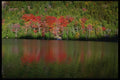 228070 Reds And Greens Of Fall A4 Photo Print