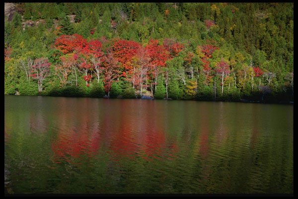 228070 Reds And Greens Of Fall A4 Photo Print