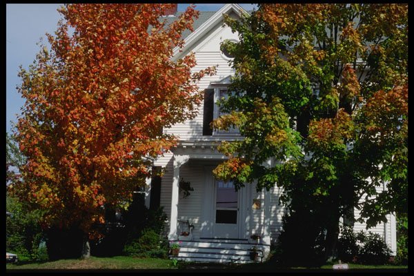 228073 Doorway Framed By Trees, Damariscotta A4 Photo Print