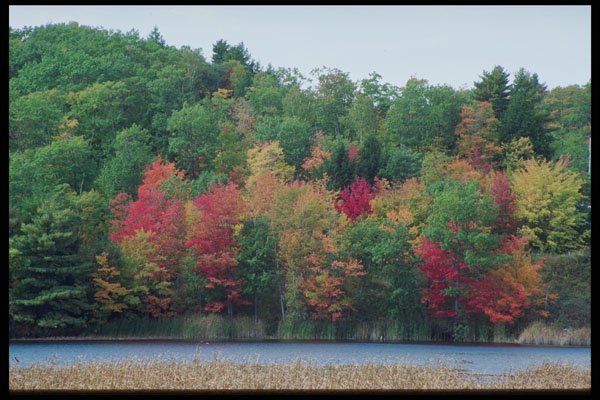 228078 Waters Edge Fall Colors A4 Photo Print