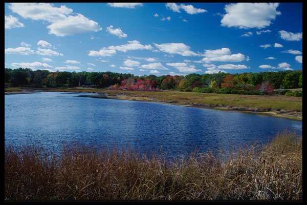 228079 Near Ogunquit A4 Photo Print