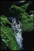 228082 Waterfall At Baxter State Park A4 Photo Print