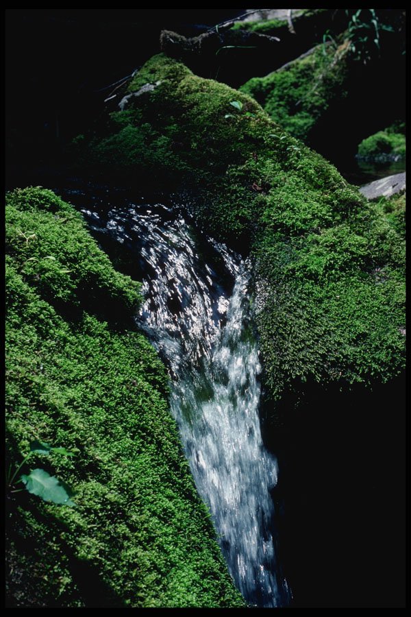 228082 Waterfall At Baxter State Park A4 Photo Print