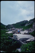 228086 Saddle Trail On Mt.Katahdin, Baxter State Park A4 Photo Print