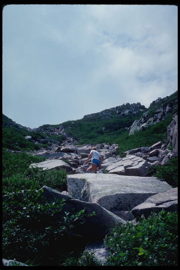 228086 Saddle Trail On Mt.Katahdin, Baxter State Park A4 Photo Print