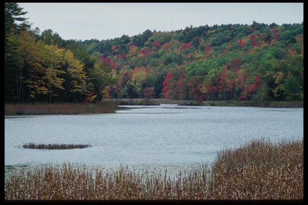 228091 Fall Colors Near Damaricotta A4 Photo Print