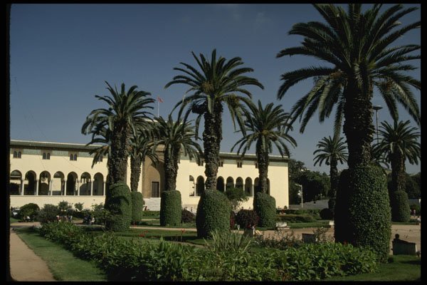 229003 Palm lined Gardens Casablanca's United Nations Square A4 Photo Print
