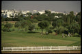 229015 The Center Of Casablanca's Race Track Is A Public Golf Course A4 Photo Print
