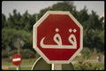 229026 Stop Sign In Arabic A4 Photo Print